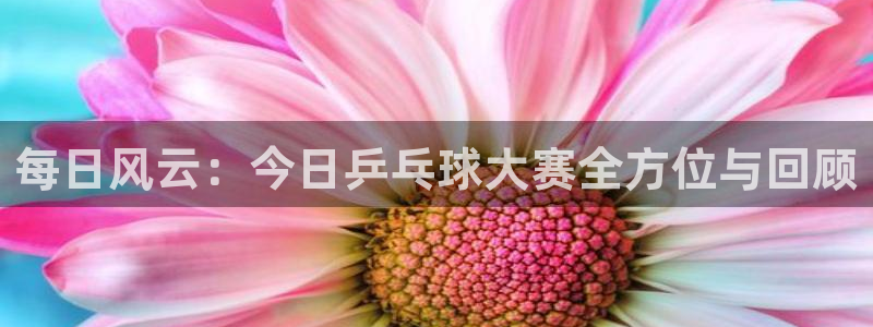 vsport体育平台:每日风云:今日乒乓球大赛全方位与回顾