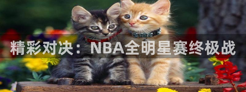 vsports胜利因您更精彩:精彩对决:NBA全明星赛终极战