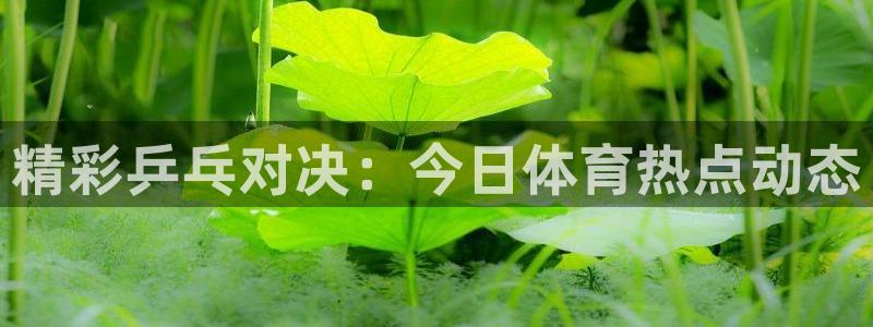 vsports阿根廷最新消息:精彩乒乓对决:今日体育热点动态